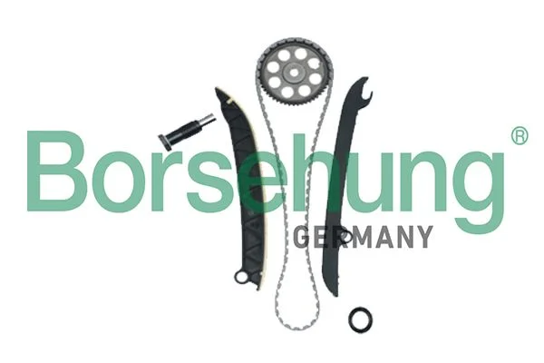 Timing Chain Kit Borsehung B18977
