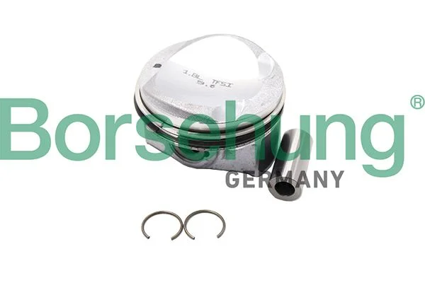 Piston Borsehung B18991