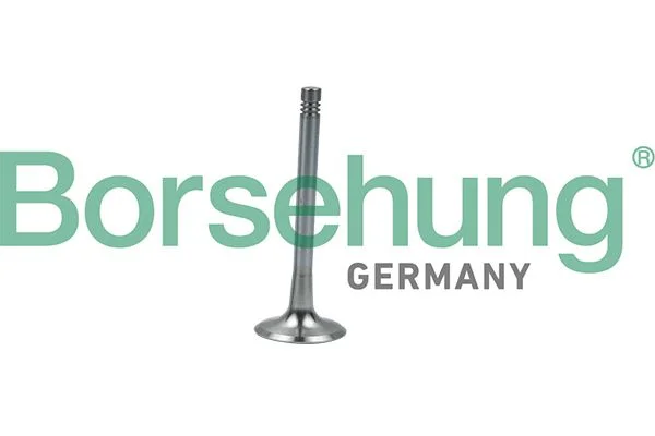 Exhaust Valve Borsehung B19008
