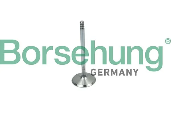 Intake Valve Borsehung B19018