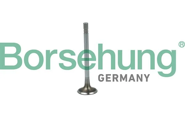 Intake Valve Borsehung B19020