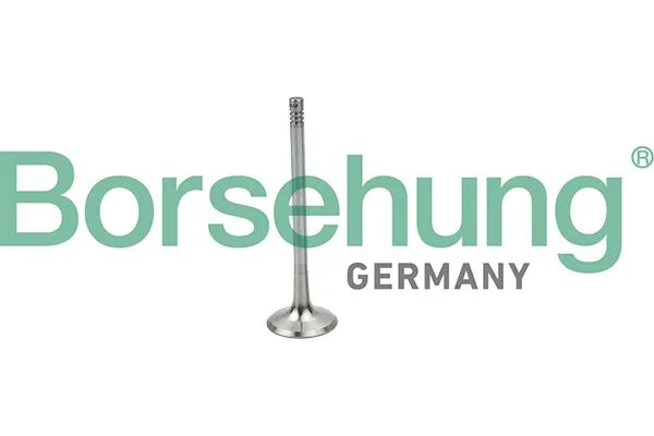 Intake Valve Borsehung B19025