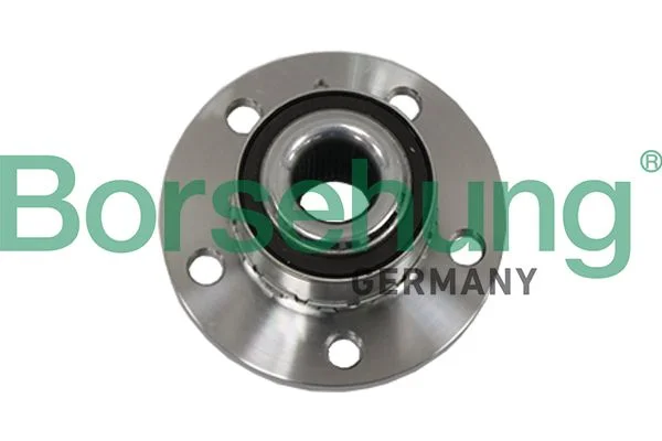 Kit de rolamentos de roda Borsehung B19117