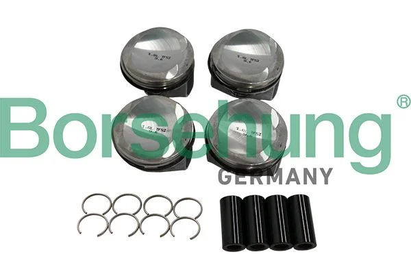 Piston Ring Set Borsehung B19151