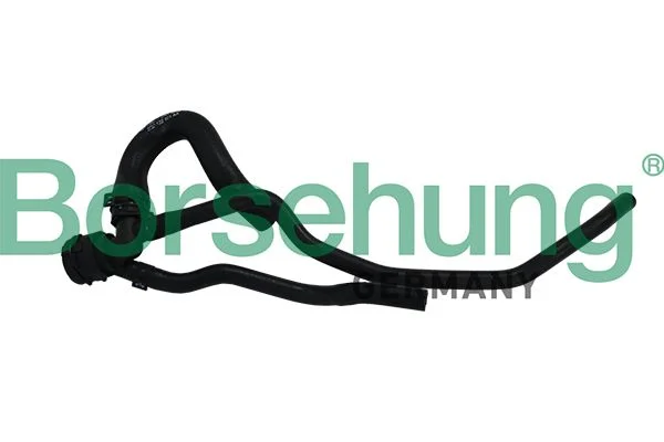 Coolant Pipe Borsehung B19180