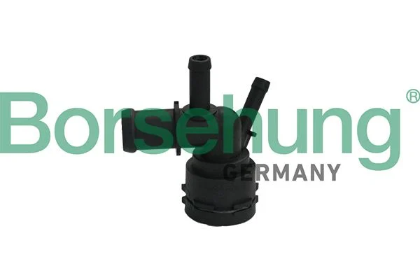 Coolant Flange Borsehung B19181