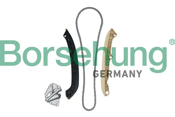 Timing Chain Kit Borsehung B19255