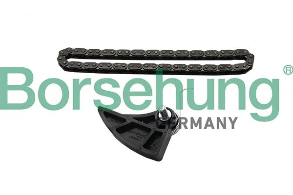 Chain Kit, oil pump drive Borsehung B19287