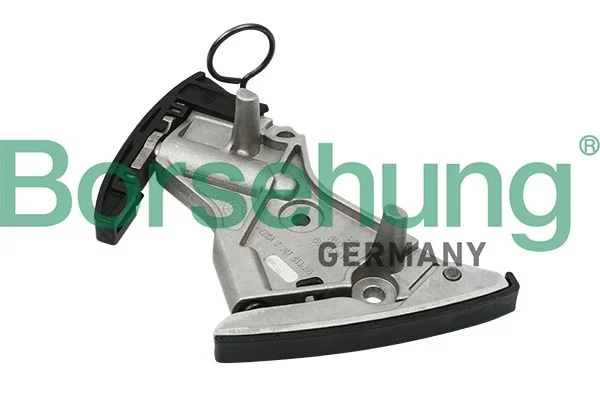 Tensioner, timing chain Borsehung B1T018