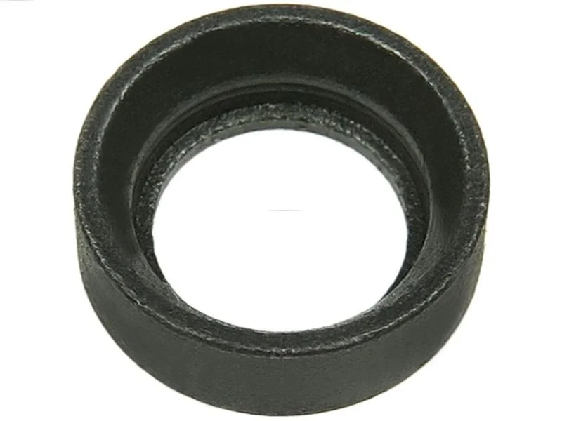 Kit de reparação, motor de arranque AS-PL SRS0172S