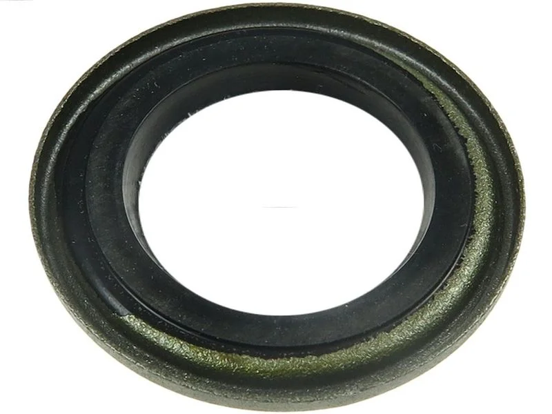 Conjunto de reparação, alternador AS-PL SRS5013