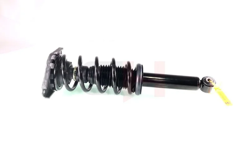 Suspension Strut GH GH-332212C01