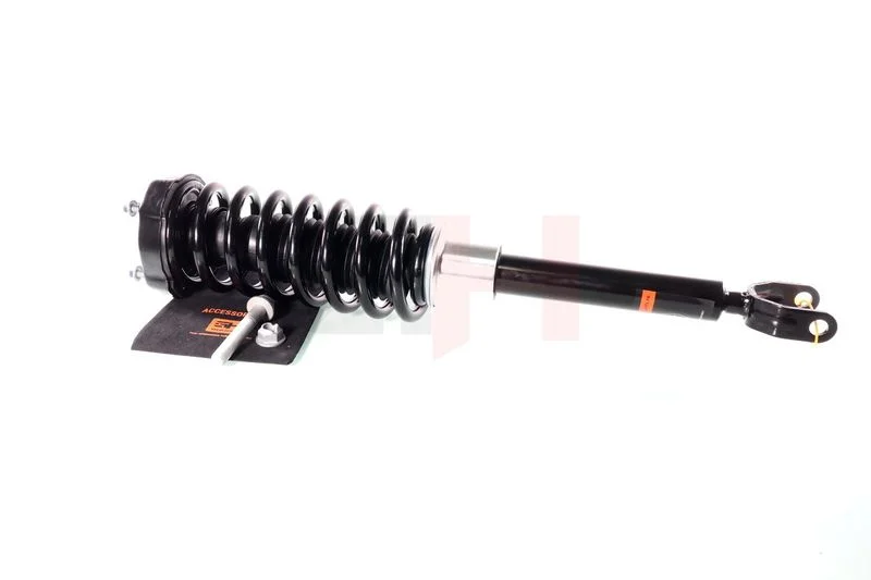 Suspension Strut GH GH-333353C03