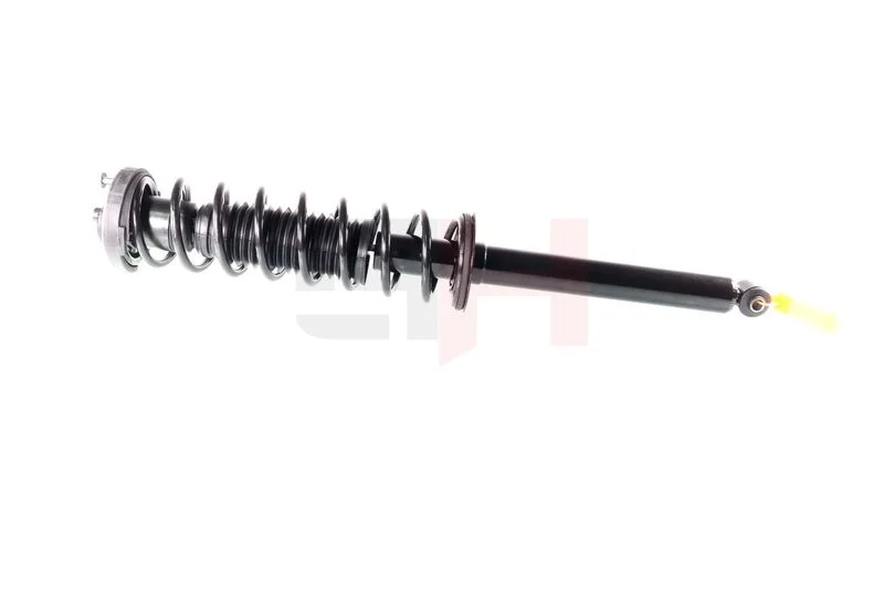 Suspension Strut GH GH-333971C01