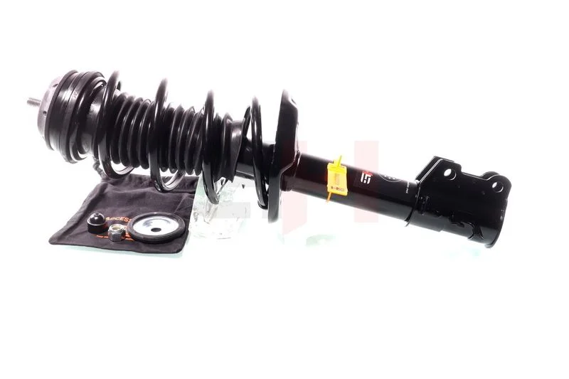 Suspension Strut GH GH-351012C01