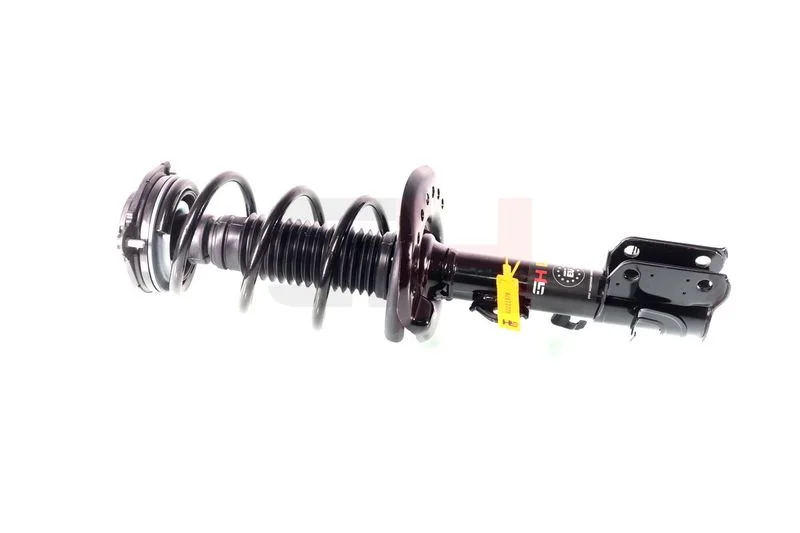 Suspension Strut GH GH-352206C02