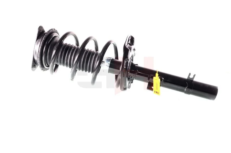 Suspension Strut GH GH-352293C02