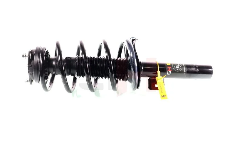 Suspension Strut GH GH-352552C04