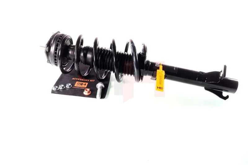 Suspension Strut GH GH-352555C03