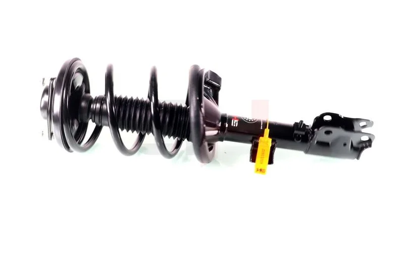 Suspension Strut GH GH-353055C02