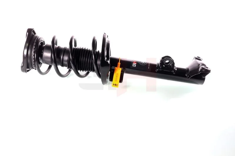 Suspension Strut GH GH-353301C02