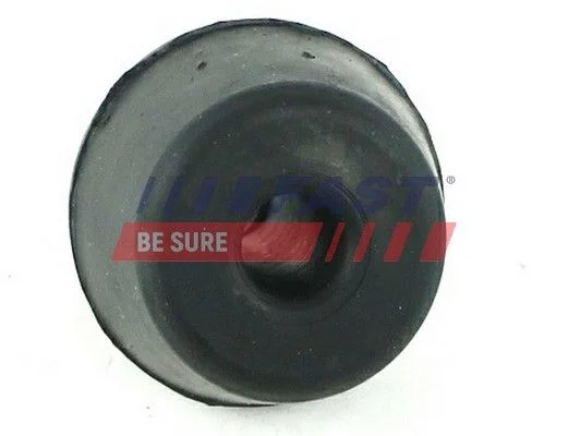 Holding Bracket, fuel pump FAST FT13063