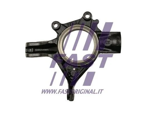Steering Knuckle, wheel suspension FAST FT13554