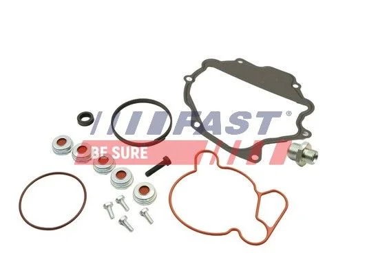Conjunto de Reparo, bomba de vácuo (sistema de frenagem) FAST FT36032