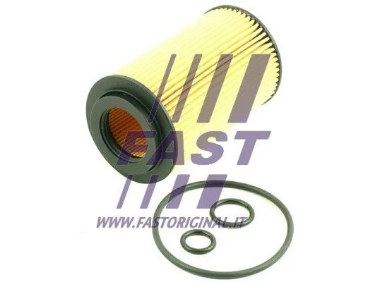 Filtro de Óleo FAST FT38013