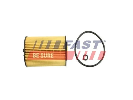 Filtro de Óleo FAST FT38098