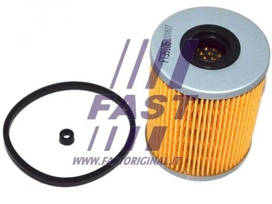 Fuel Filter FAST FT39105