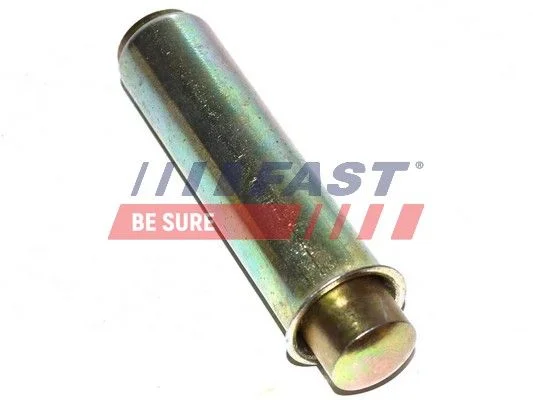Amortecedor de vibrações, correia de distribuição FAST FT44081