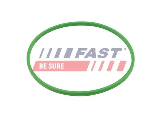 Seal, fuel tank FAST FT48503
