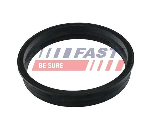 Seal, fuel tank FAST FT48505