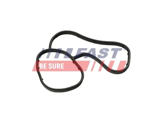 Gasket, oil cooler FAST FT48941