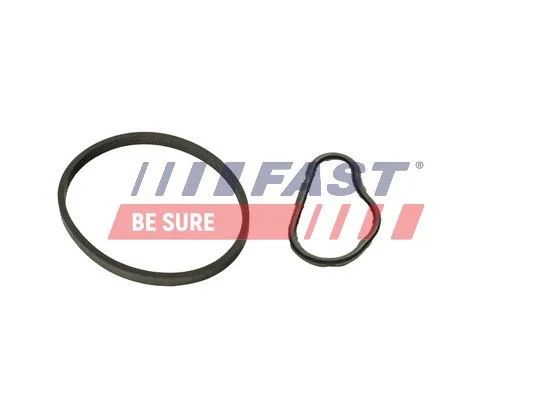 Junta, bomba de vácuo FAST FT48943