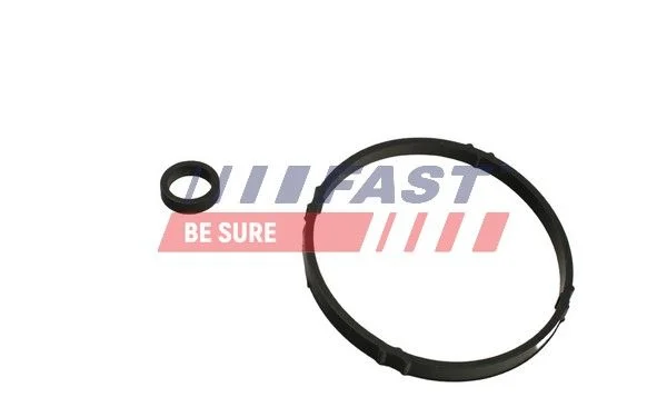 Gasket, oil cooler FAST FT48952