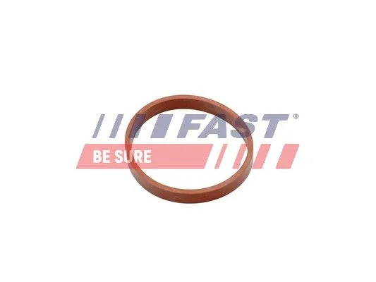 Junta, coletor de admissão FAST FT49418