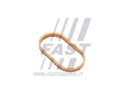 Junta, coletor de admissão FAST FT49461