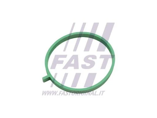 Junta, coletor de admissão FAST FT49472