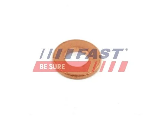 Heat Shield, injection system FAST FT49848