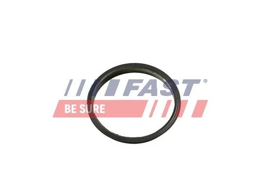 Junta, bomba de vácuo FAST FT49853