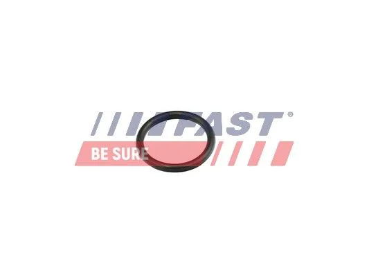 Gasket, coolant pipe FAST FT49856