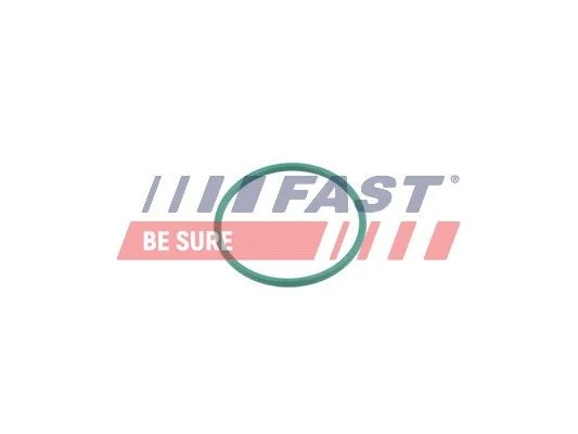 Anel de Vedação, mangueira de ar de carga FAST FT49921