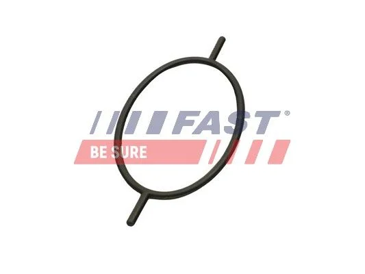 Anel de vedação, parafuso da tampa do radiador FAST FT49923