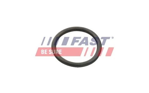 Junta, bomba de água FAST FT49934