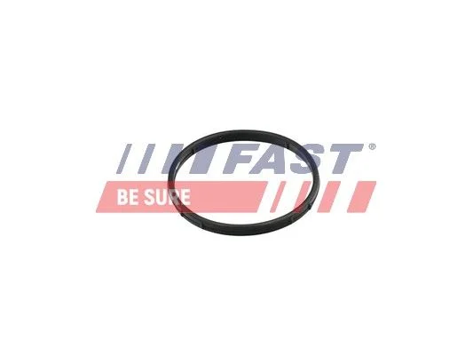 Gasket, EGR valve FAST FT50602