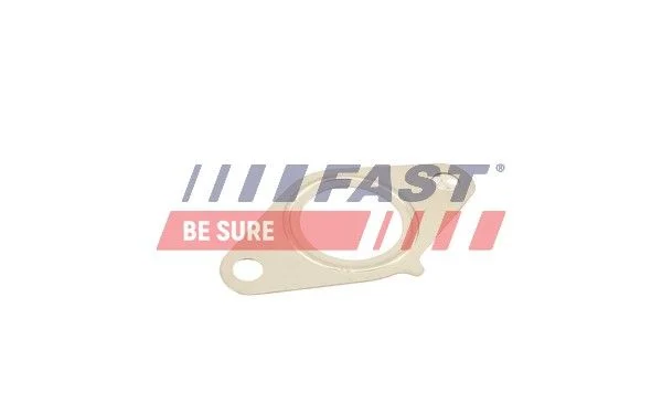 Gasket, EGR valve FAST FT50616