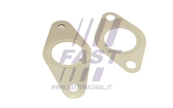 Gasket Set, EGR system FAST FT50621