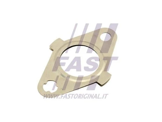 Gasket, EGR valve FAST FT50627